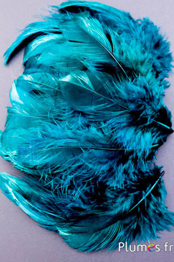 Henne - 5-9 cm - petrol